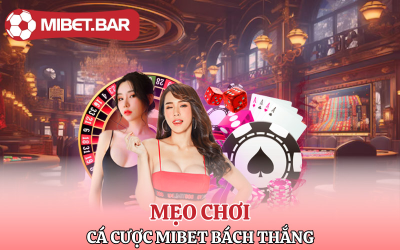 Xóc Đĩa Mibet | Xanh Chín Số 1 Trong Làng Cá Cược Online 4 Mẹo chơi cá cược Mibet bách thắng cho người mới